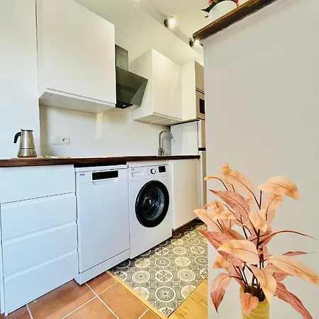 Lejlighed Nuevo Cosy Loft 4pax